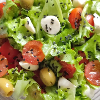 Салат с помидорами, моцареллой, оливками и салатом-латук