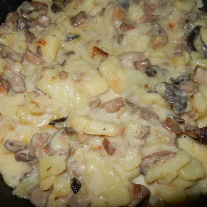 Картофель с лесными грибами тушеный в сметане на сковороде