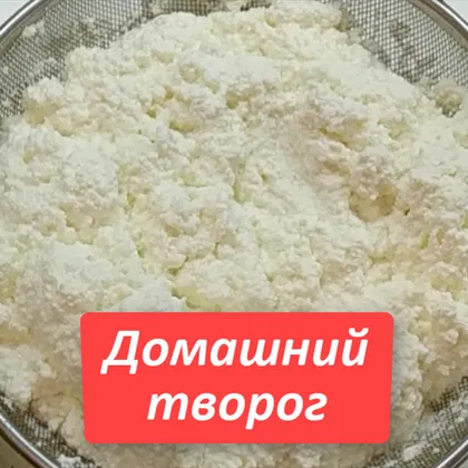 Домашний творог