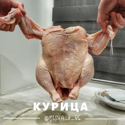 Курица