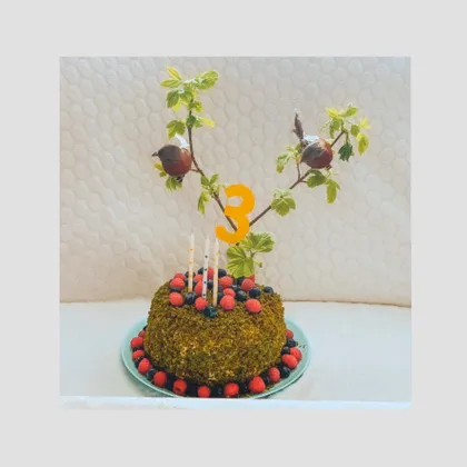Торт « лесной мох»
