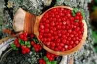 Варенье клюквенное с орехами
