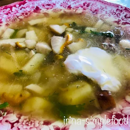 Суп с белыми грибами на мясном бульоне