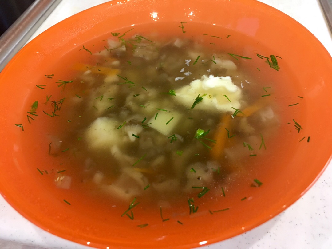 Суп с грибами и мясом