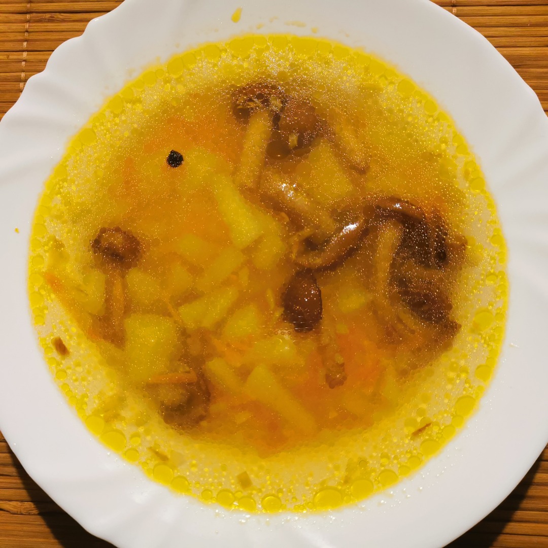 Грибной суп из замороженных опят — рецепт с фото пошагово