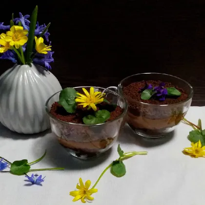 'Шоколадная земля', необычный десерт - цветы в горшочках 🌺