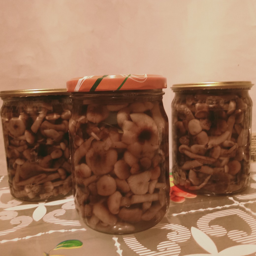 Опята маринованные