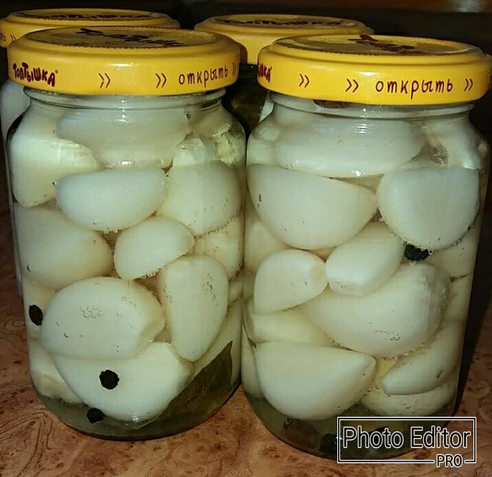 Чеснок на зиму
