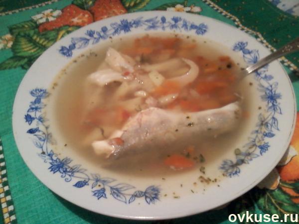 Суп из теши семги рецепт с картофелем и пшеном