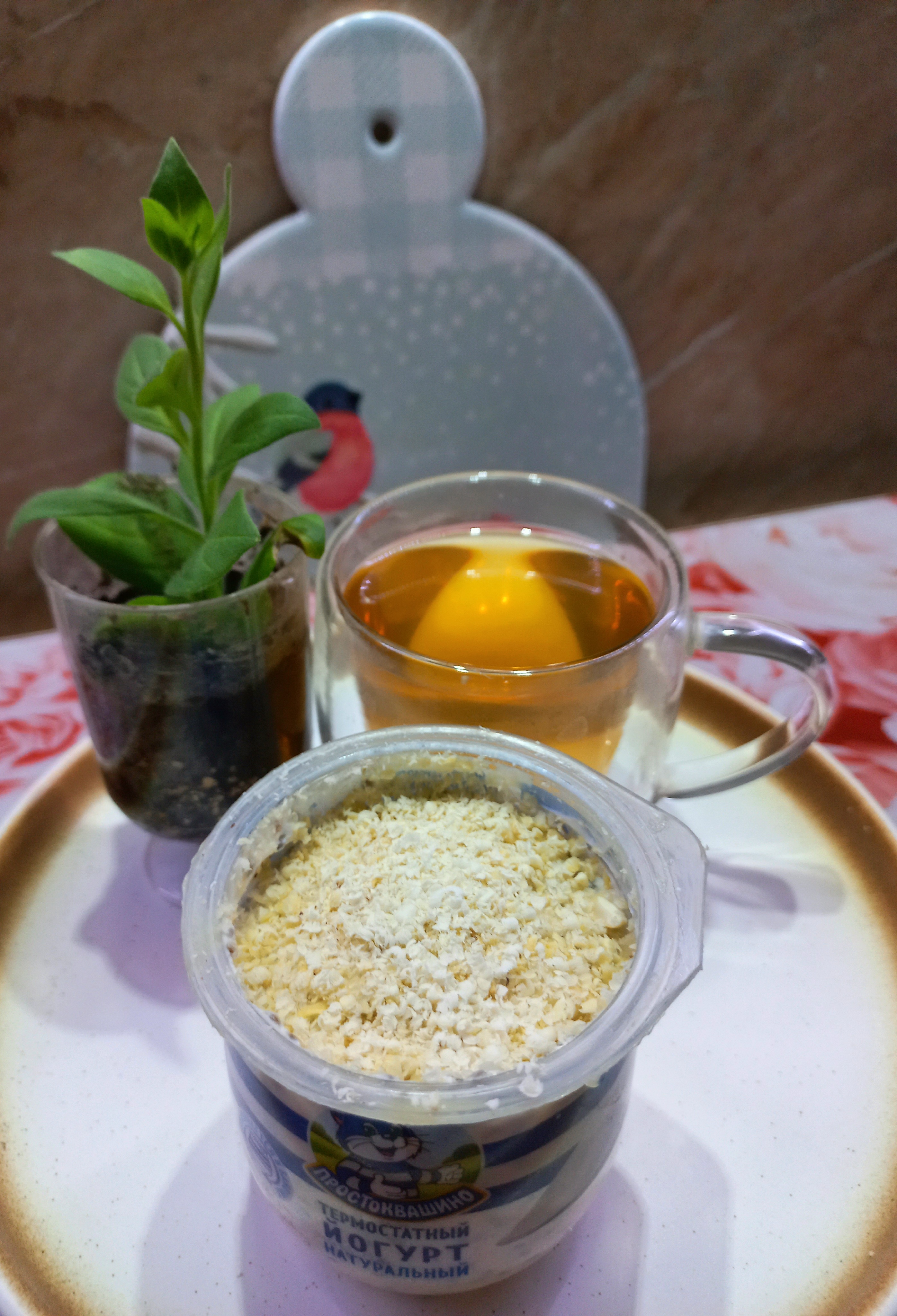 ПП десерт с семенами чиа 