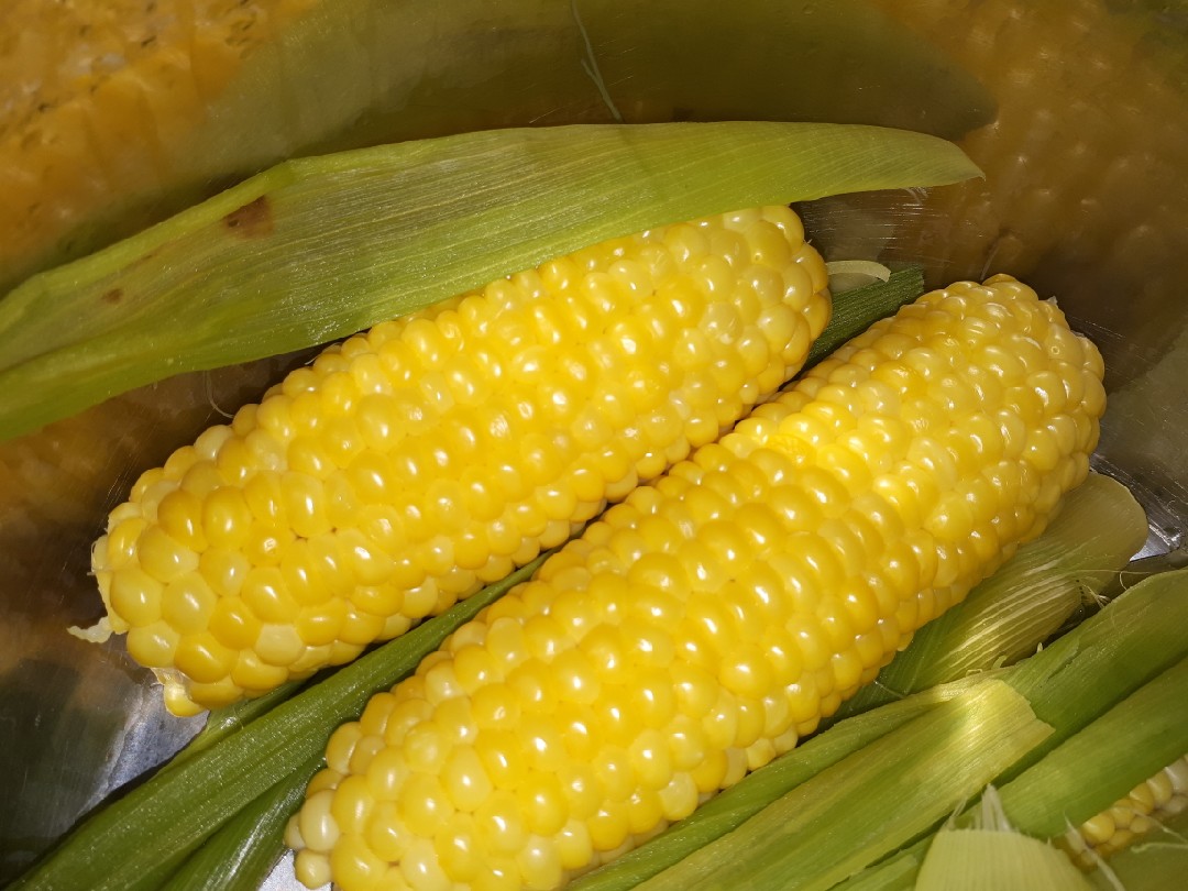 Отварная кукуруза