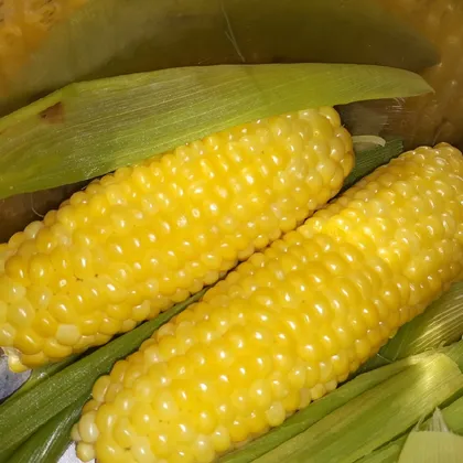 Отварная кукуруза