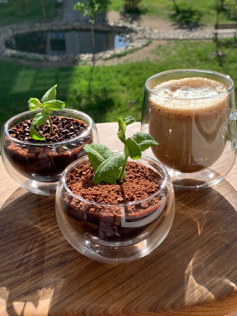 Шоколадная рассада с мятой 🌱