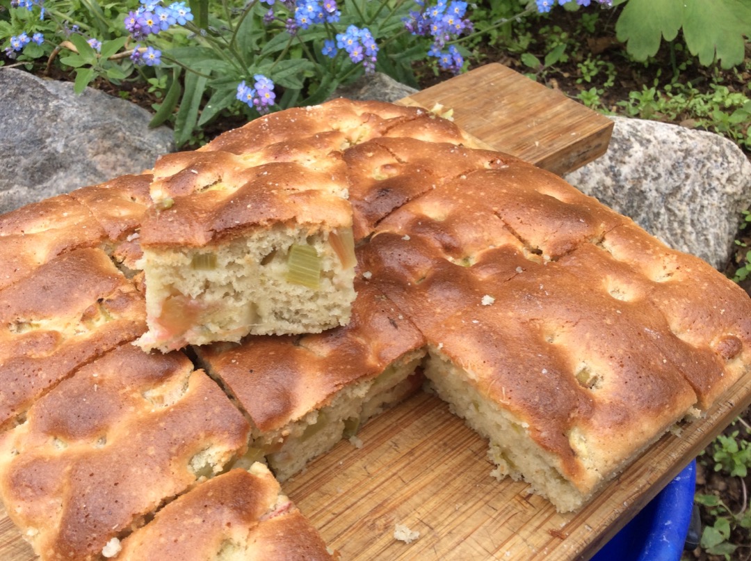 Шарлотка с ревенем диетическая