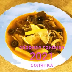 Сборная грибная солянка