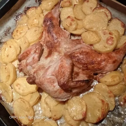 Цыпленок Тали с картофелем
