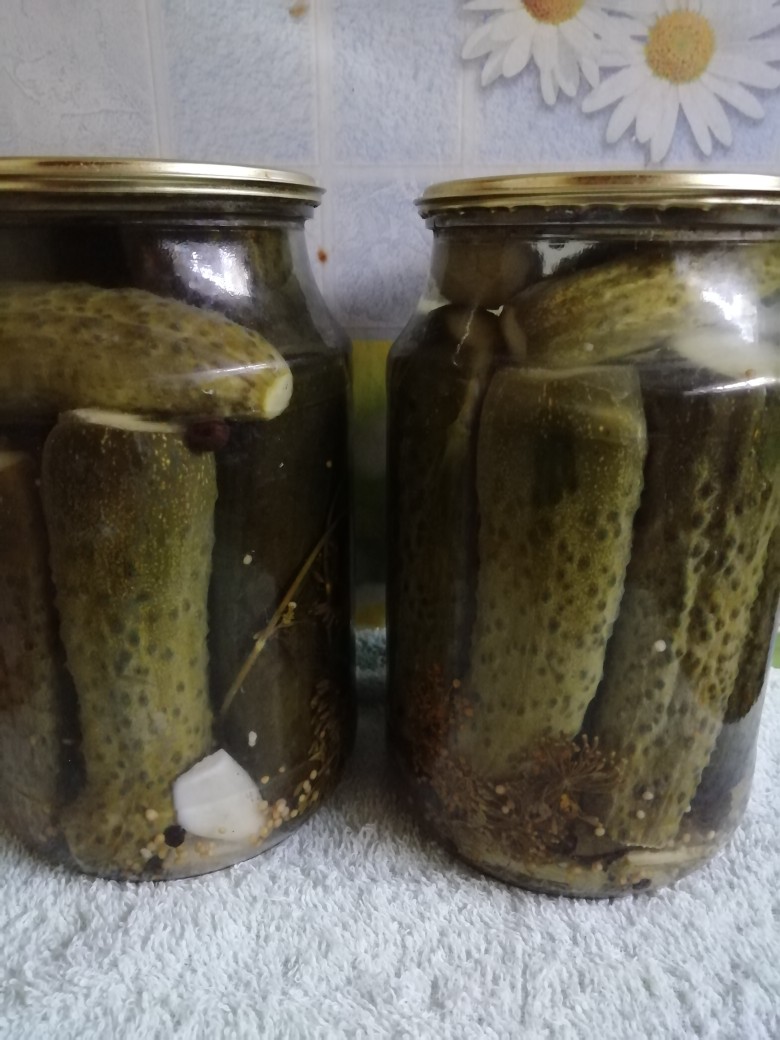 Маринованные огурцы сухой стерилизации