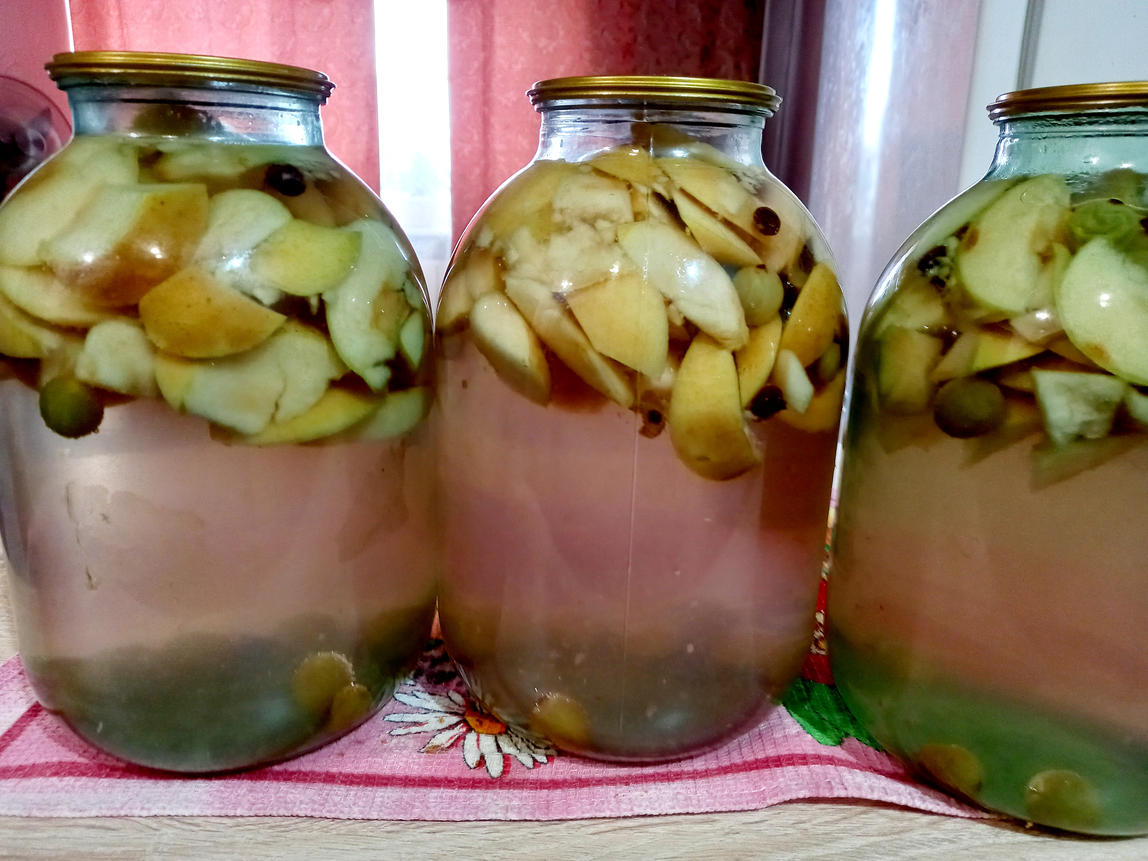 Компот яблоки + клюква + крыжовник