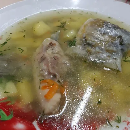 Диетический рыбный суп