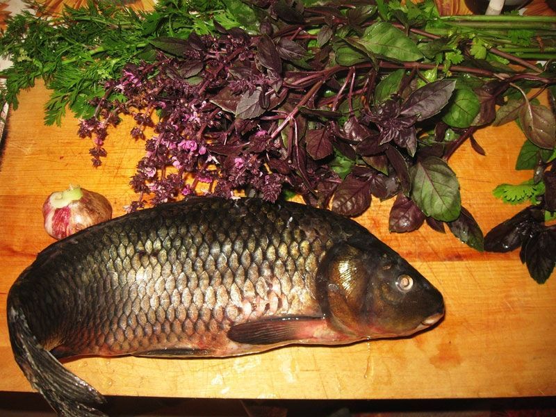 Жареная рыба с кинзой и чесноком (блюдо бухарских евреев)