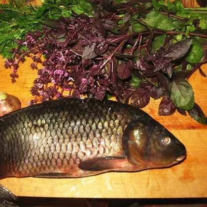 Жареная рыба с кинзой и чесноком (блюдо бухарских евреев)