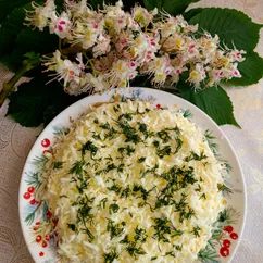 Французский салат с луком и яблоком