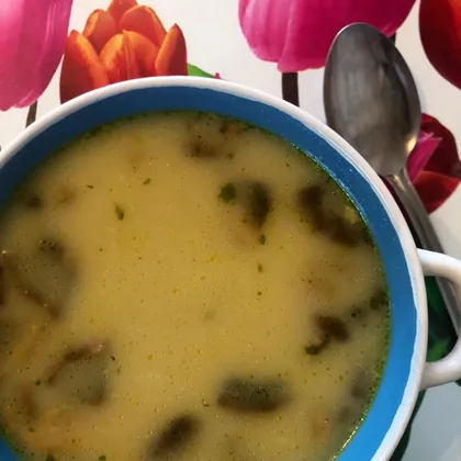 Сырный крем-суп с курицей и грибами