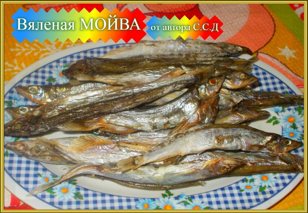 Вяленая МОЙВА