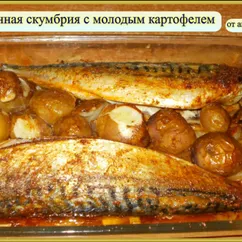 Запеченная скумбрия с картофелем