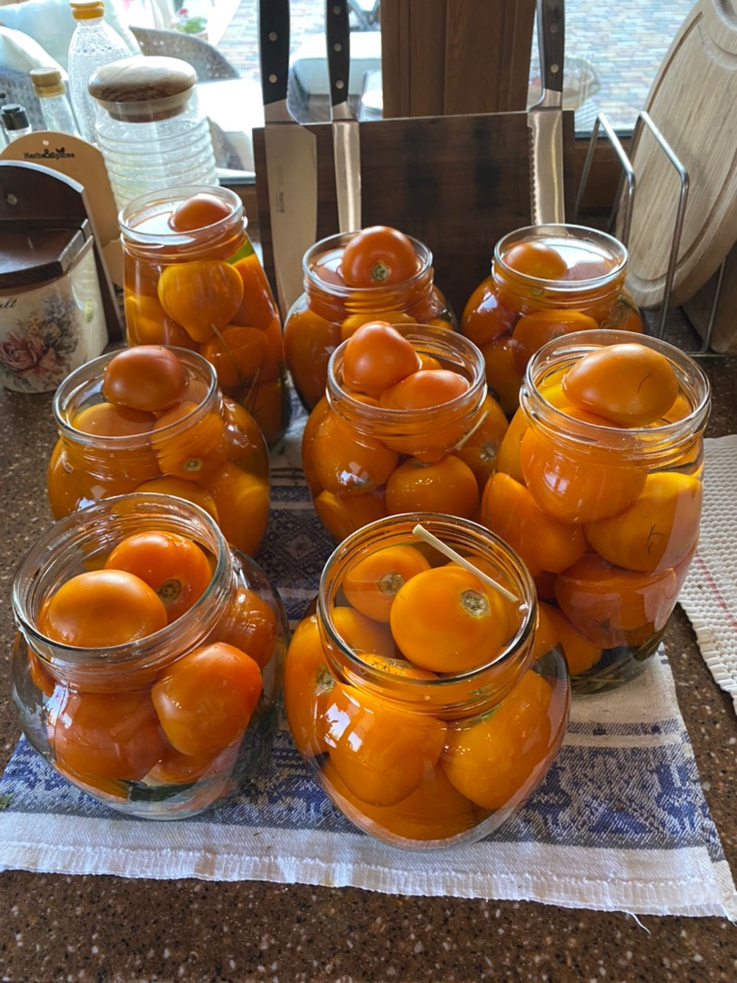 Жёлтые маринованные помидоры