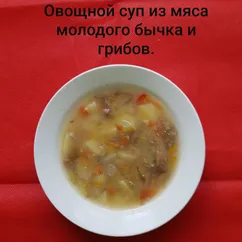 Овощной суп из мяса молодого бычка и грибов