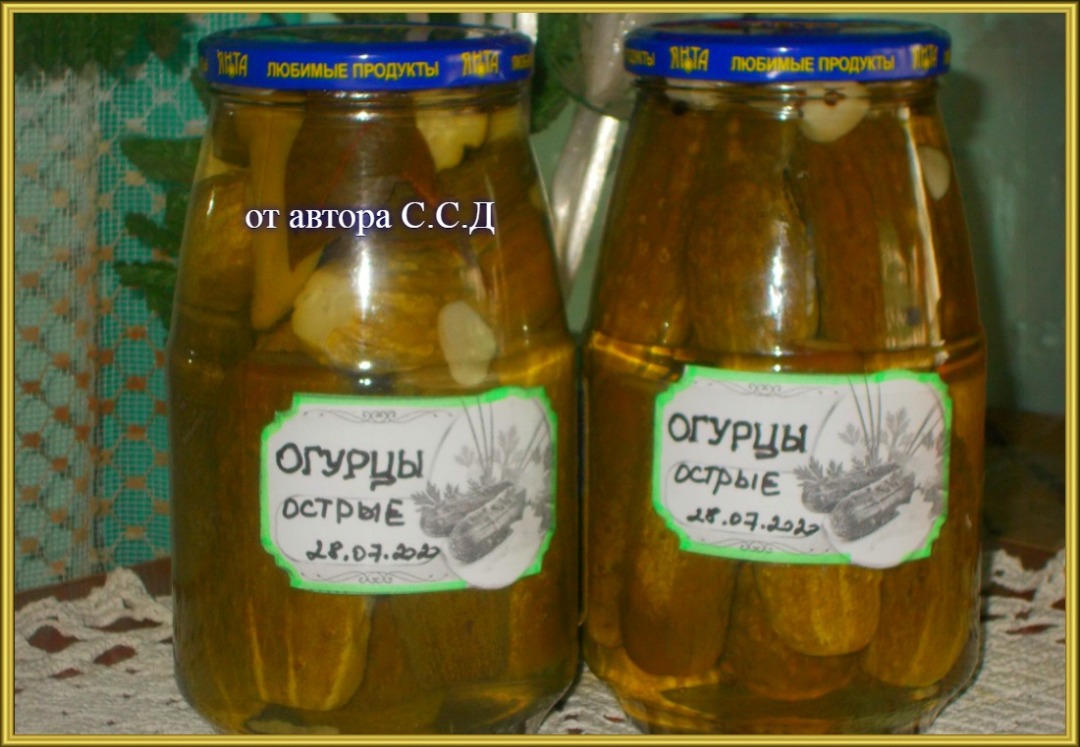 Маринованные острые огурцы