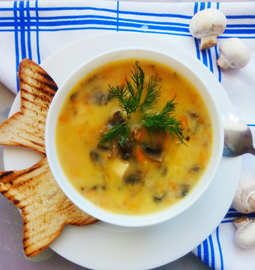Сливочный суп с лесными грибами и плавленым сыром