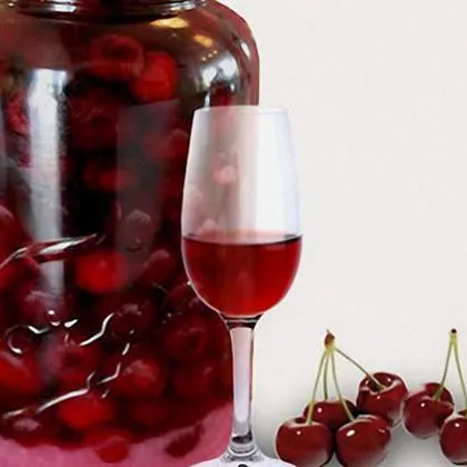 Настойка ягод вишни на коньяке – лучший рецепт