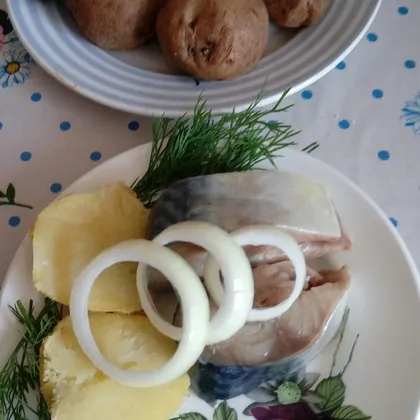 Скумбрия маринованная с запечённой картошкой