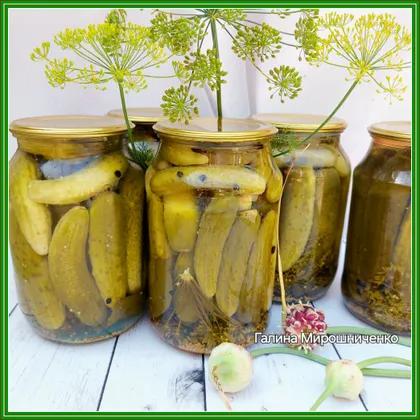 Маринованные огурцы со смородиновым листом и хреном