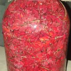 Коньяк из барбариса