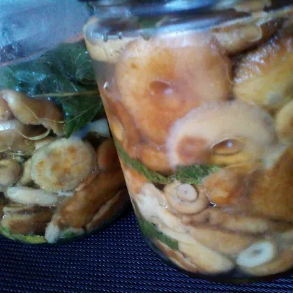 Хрустящие домашние солёные грибочки 'За уши не от тащишь'