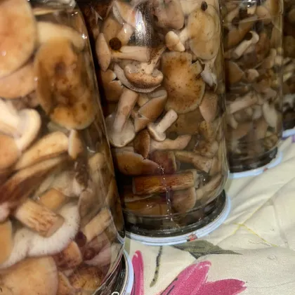 Маринованные грибы опята