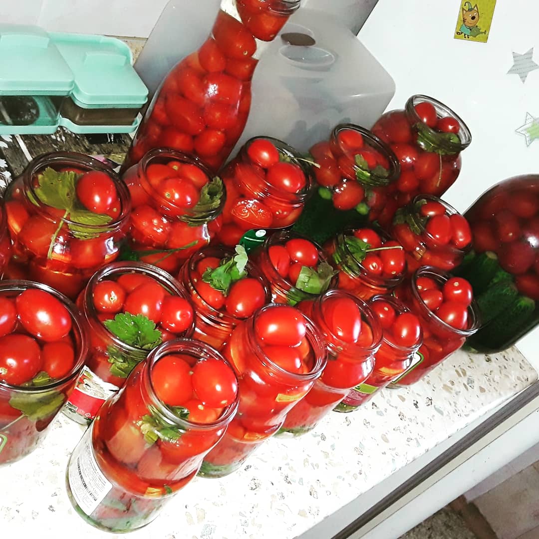 Томаты соленые с медом