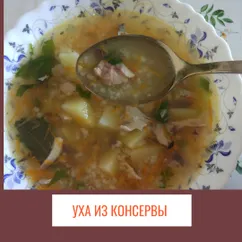 Уха из консервы (скумбрия) с рисом