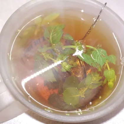 Ароматный чай 'Русский лес' с мятой