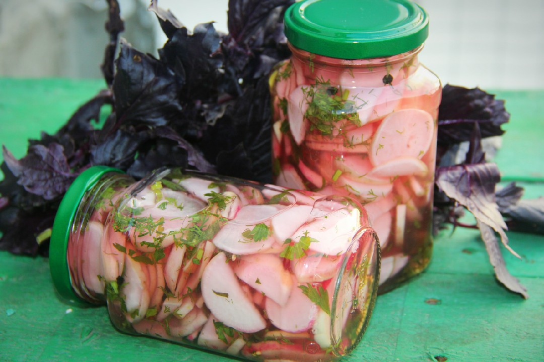 Маринованная редиска