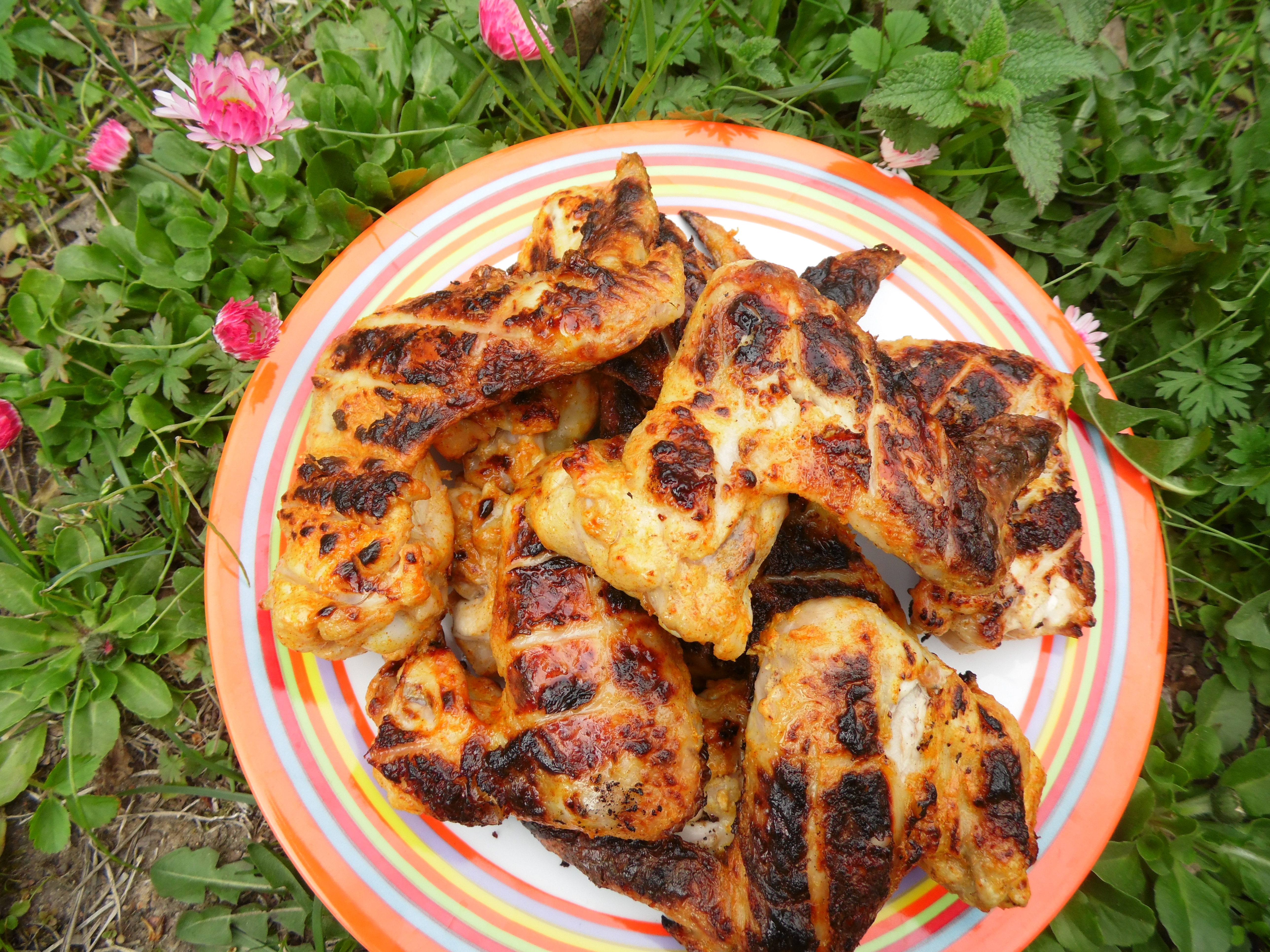 Куриные крылья в кефирно-сметанном маринаде на углях