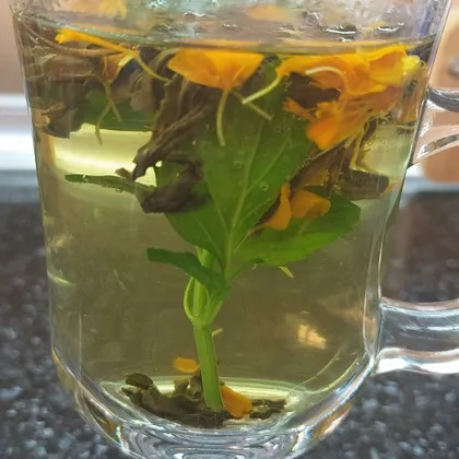 Чай из мяты и из цветка бархатеца сорт (тагатес)