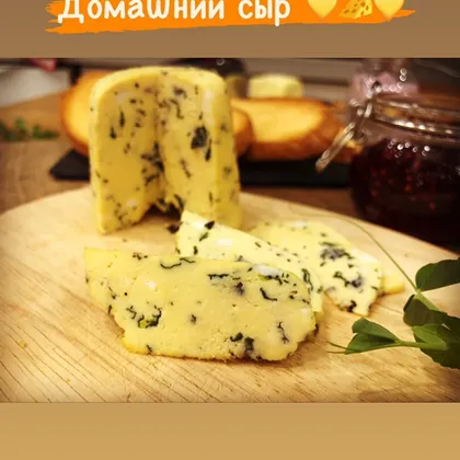 Домашний сыр (низкокалорийный) 🧀