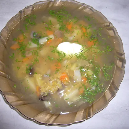 Суп из чечевицы с грибами в мультиварке