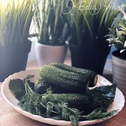 Малосольные огурчики🥒