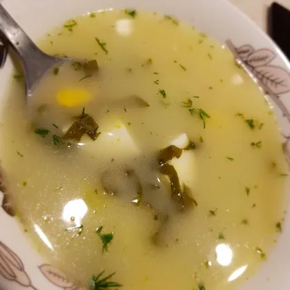 Щавлевый борщ или же щавелевый суп