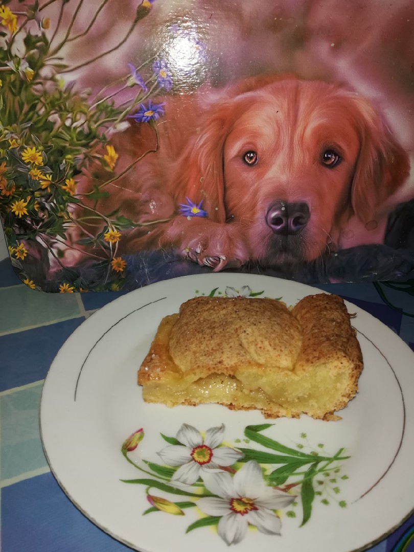 Яблочный пирог из творожного теста